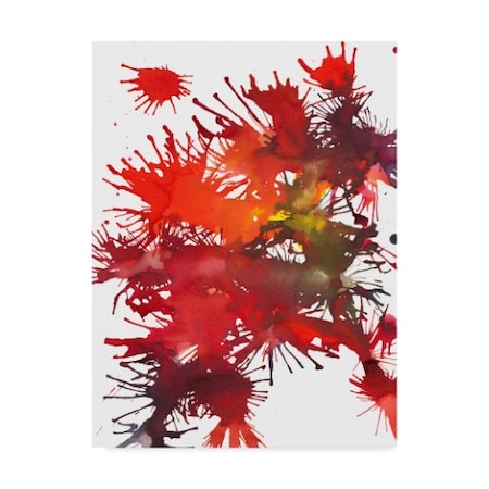 Jodi Fuchs 'Fireworks Display Ii' Canvas Art,24x32